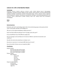 Review Sheet for Lecture 15: Life in the Benthic Realm