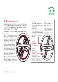 Armillary Sphere (1:1)