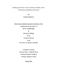 Clam Ctenoides Ales (Finlay, 1927): Mechanisms and Behavioral Function