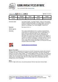Clidemia Hirta Global Invasive Species Database (GISD)