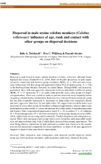Colobus Vellerosus): Inﬂuence of Age, Rank and Contact with Other Groups on Dispersal Decisions