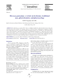 Microcos Paniculata: a Review on Its Botany, Traditional Uses, Phytochemistry and Pharmacology