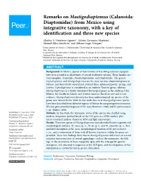 Remarks on Mastigodiaptomus (Calanoida: Diaptomidae) from Mexico Using Integrative Taxonomy, with a Key of Identiﬁcation and Three New Species