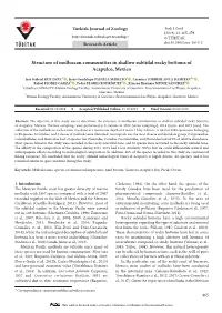 Structure of Molluscan Communities in Shallow Subtidal Rocky Bottoms of Acapulco, Mexico