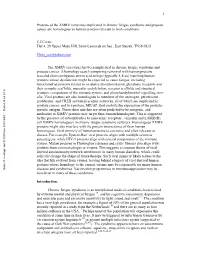 1 Proteins of the XMRV Retrovirus Implicated in Chronic Fatigue