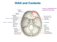 Abducens Nerve Lesion • Right LR Is Disabled