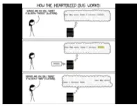 Information Security Software Flaws