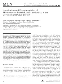 Localization and Phosphorylation of Abl-Interactor Proteins, Abi-1 and Abi-2, in the Developing Nervous System