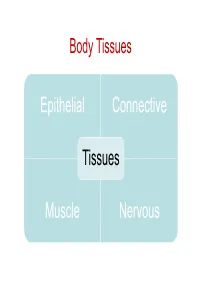 Nervous System -I