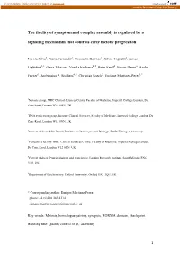 The Fidelity of Synaptonemal Complex Assembly Is Regulated by A