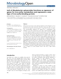 Iscr of Rhodobacter Sphaeroides Functions As