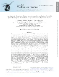 Marrying Molecules and Morphology: First Steps Towards a Reevaluation Of