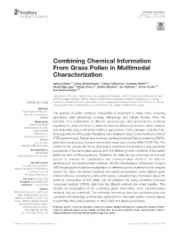 Combining Chemical Information from Grass Pollen in Multimodal Characterization