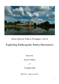 Exploring Entheogenic Entity Encounters