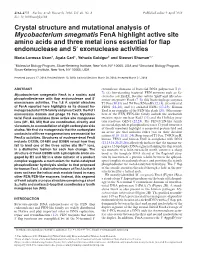 Mycobacterium Smegmatis Fena Highlight Active Site