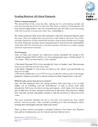 Reading Handout: All About Pinnipeds
