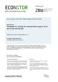 Strategies for Closing the Representation Gap in Micro and Small Enterprises