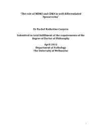 The Role of MDM2 and CDK4 in Well Differentiated Liposarcoma Dr