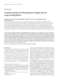 Cannabis and the Developing Brain: Insights Into Its Long-Lasting Effects