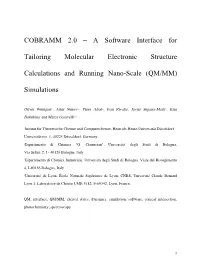 COBRAMM 2.0 – a Software Interface for Tailoring Molecular Electronic