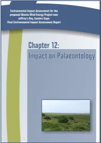 FEIA WKN Ubuntu Ch 12 Palaeontology Oct2011.Pdf