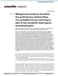 Mitogenome Analyses Elucidate the Evolutionary Relationships of a Probable Eocene Wet Tropics Relic in the Xerophilic Lizard