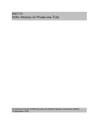 SAC113 SSAC Advisory on Private-Use Tlds
