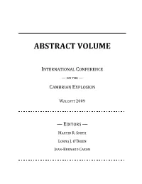 Abstract Volume