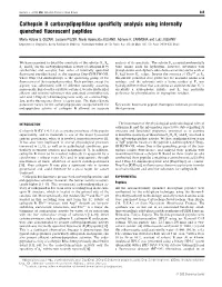 Cathepsin B Carboxydipeptidase Specificity Analysis Using Internally