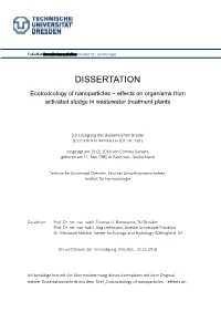 Dissertation