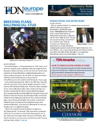 BALLYMACOLL STUD with an Overflow Field of 17 Entered, There Are Plenty of Different Directions to Go in for Wednesday=S US$500,000 Qatar Derby