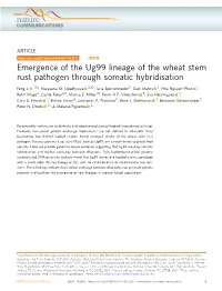 Emergence of the Ug99 Lineage of the Wheat Stem Rust Pathogen Through Somatic Hybridisation