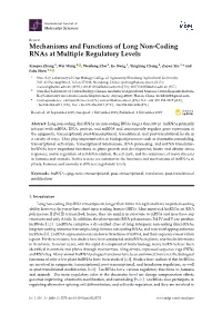 Mechanisms and Functions of Long Non-Coding Rnas at Multiple Regulatory Levels