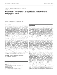 PCR-Mediated Recombination in Amplification Products Derived from Polyploid Cotton
