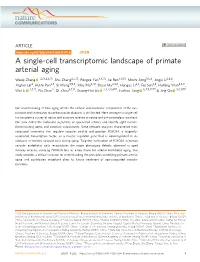A Single-Cell Transcriptomic Landscape of Primate Arterial Aging