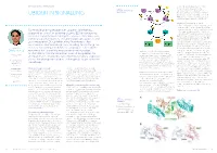 Huang Lab Report