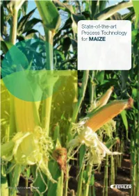 State-Of-The-Art Process Technology for MAIZE