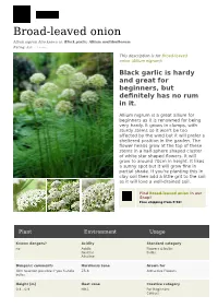 Broad-Leaved Onion Allium Nigrum Also Known As: Black Garlic, Allium Multibulbosum Rating: 5.0 ( 3 Votes)
