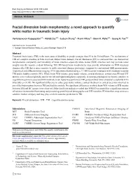 Fractal Dimension Brain Morphometry: a Novel Approach to Quantify White Matter in Traumatic Brain Injury