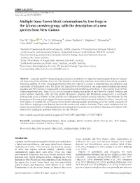 Multiple Trans-Torres Strait Colonisations by Tree Frogs in the Litoria Caerulea Group, with the Description of a New Species from New Guinea