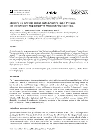 Discovery of a New Blind Ground Beetle in Western French Pyrenees, and Its Relevance to the Phylogeny of Pyrenean Hypogean Trechini