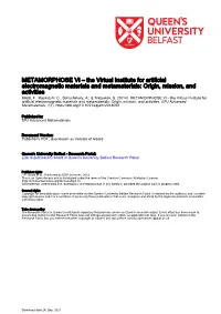 METAMORPHOSE VI – the Virtual Institute