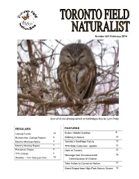 Regulars Features