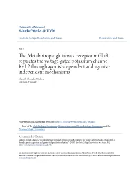 The Metabotropic Glutamate Receptor Mglur1 Regulates the Voltage-Gated Potassium Channel Kv1.2 Through Agonist-Dependent and Agonist-Independent Mechanisms