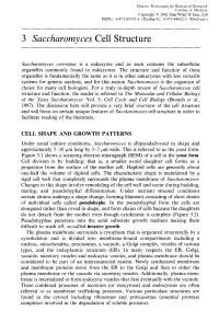 3 Saccharomyces Cell Structure
