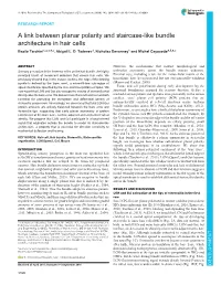 A Link Between Planar Polarity and Staircase-Like Bundle Architecture in Hair Cells Basile Tarchini1,2,3,4,*, Abigail L