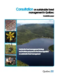 Consultation on Sustainable Forest Management in Québec