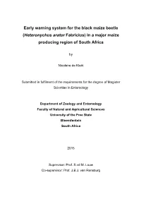 Early Warning System for the Black Maize Beetle (Heteronychus Arator Fabricius) in a Major Maize