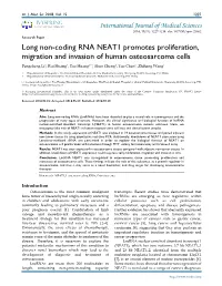 Long Non-Coding RNA NEAT1 Promotes Proliferation, Migration