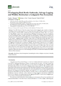 Overlapping Bark Beetle Outbreaks, Salvage Logging and Wildfire Restructure a Lodgepole Pine Ecosystem